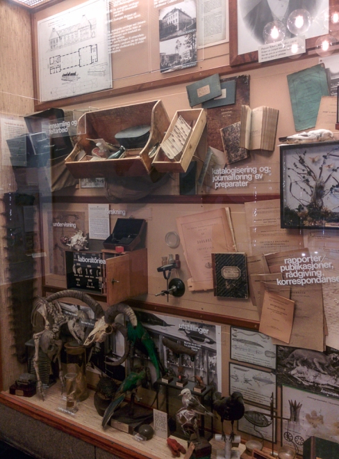 Image of a museum case full of old natural history memorabilia